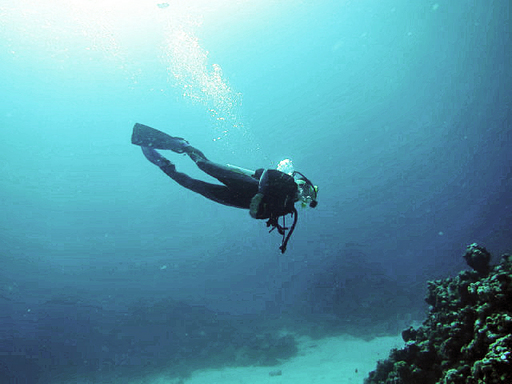 1-copy-diver.jpg