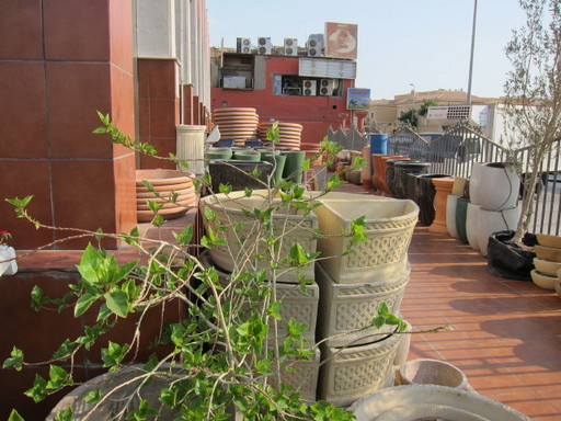 20110907 flower shop 079.jpg