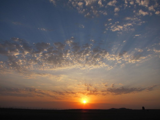 20110924 fal 004.jpg