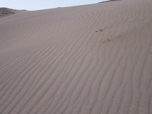 20111020 qasr 012.jpg