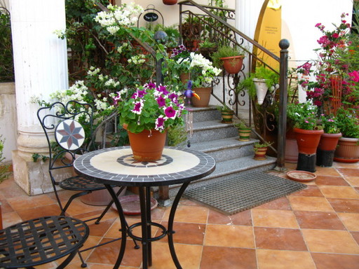 20111029 garden flower 020.jpg