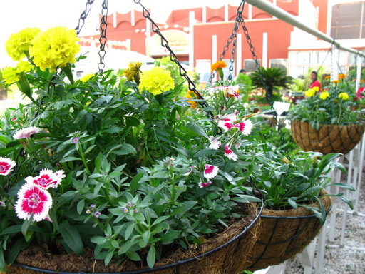 20111114 riyadh 031.jpg