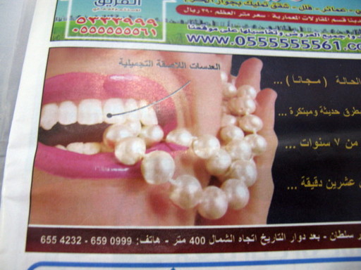 20111209 fal 176.jpg