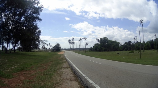 DSC00906.JPG