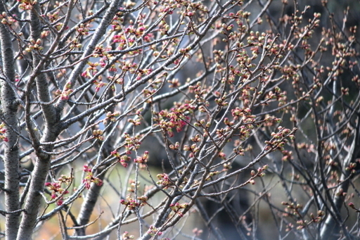 IMG_3002s.jpg