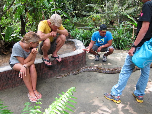 IMG_4511.JPG