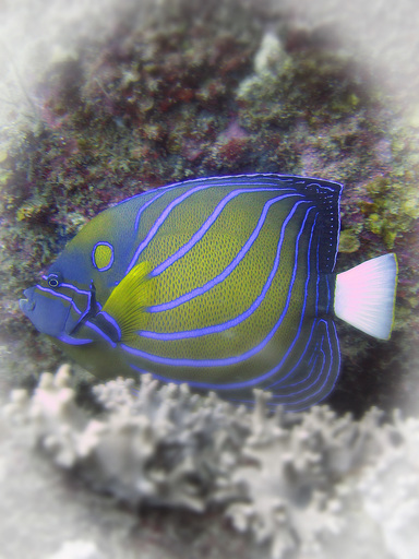 IMG_5123.JPG