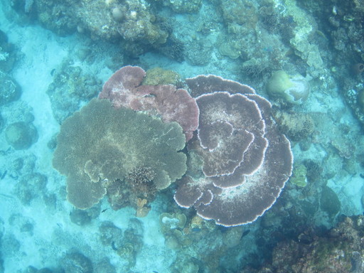 IMG_5190.JPG