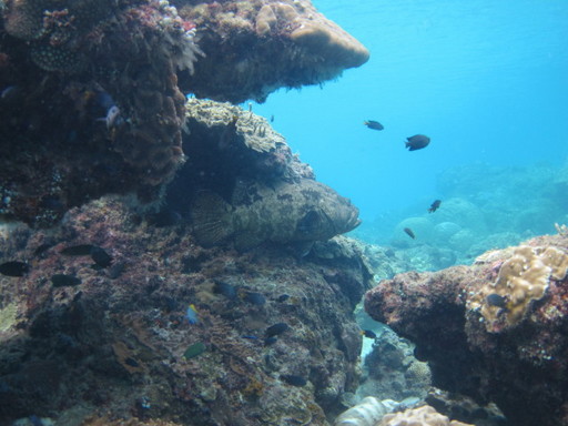 IMG_5416.JPG