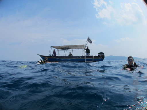IMG_5532.JPG