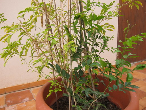 IMG_5891.JPG