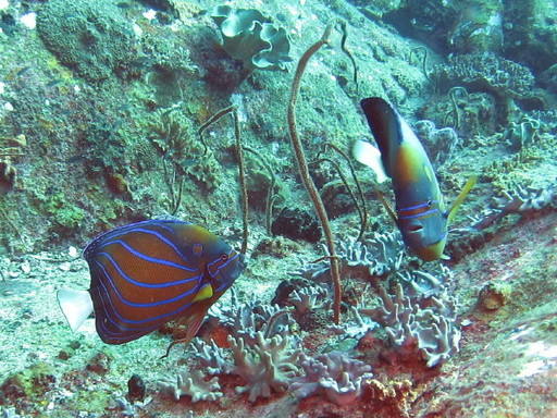 IMG_6382.JPG