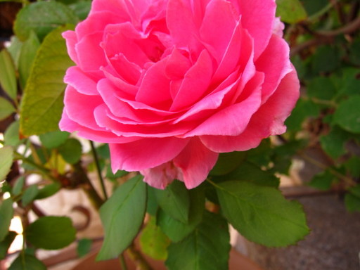 IMG_6840.JPG