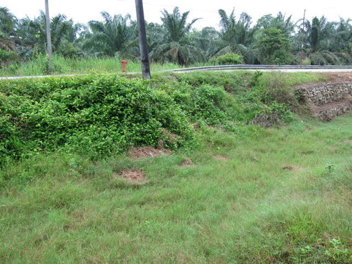 IMG_8044.JPG
