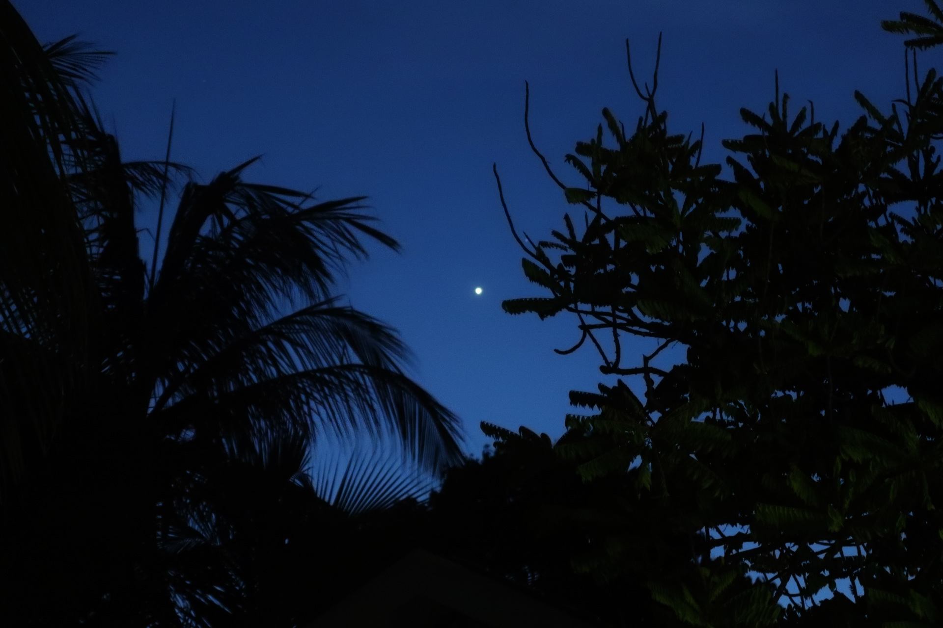 Venus 宵の明星 金星は今 マイナス4等星 もはや小型の月ぐらいの明るさ 紅海だより 南の島のリゾート暮らし マレーシア編