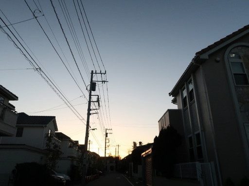 IMG_8570_1.JPG