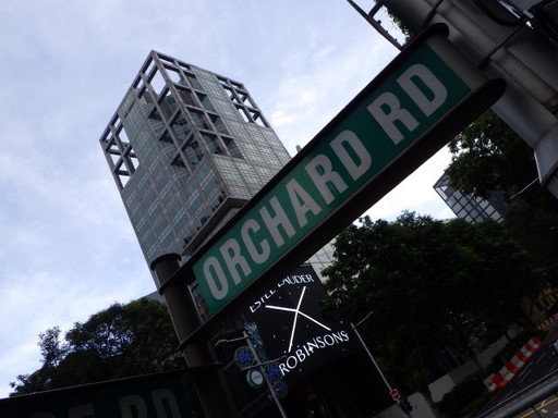 RIMG0790.JPG