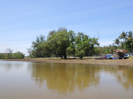 RIMG2575.JPG