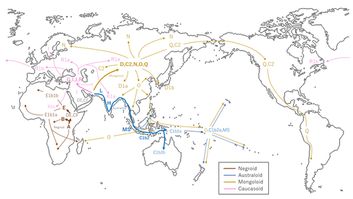 Y-DNA_haplogroup_migration.png