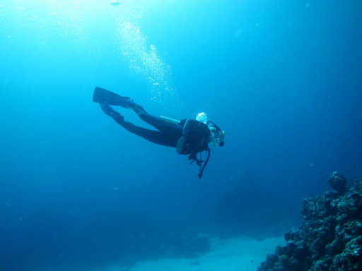 copy diver.jpg