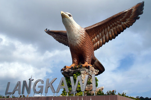 eagle002.jpg
