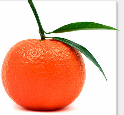 tangerine.jpg